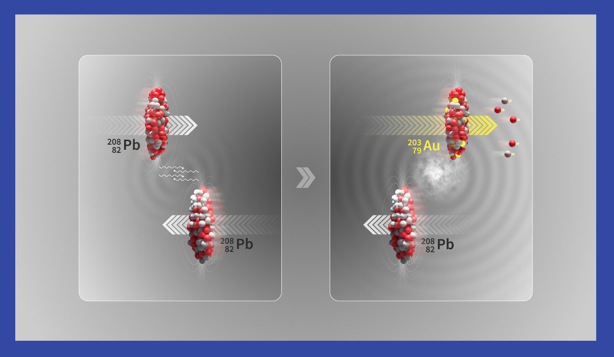 ALICE detects the transformation of lead into gold at the LHC