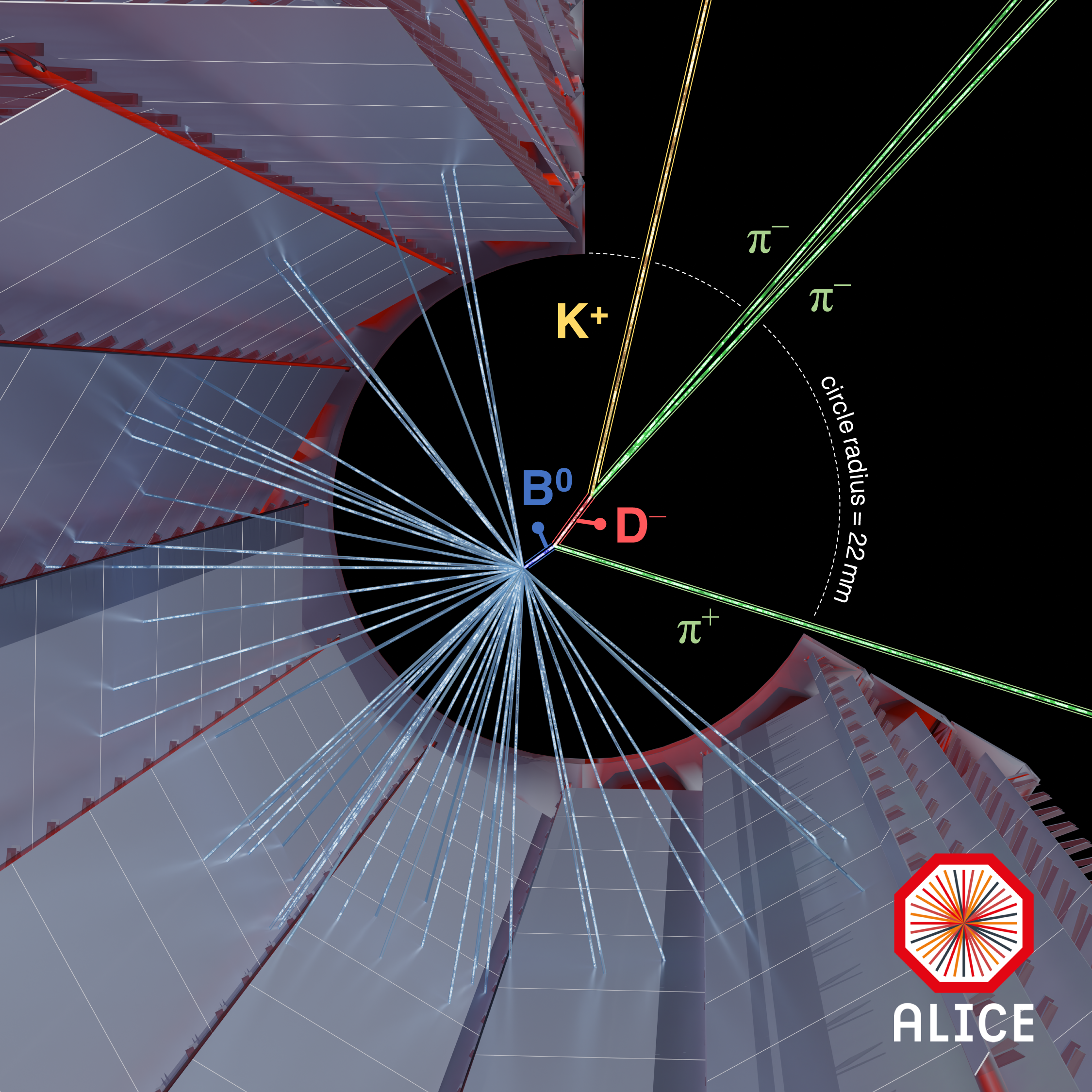 ALICE’s upgraded detector showcases its beauty